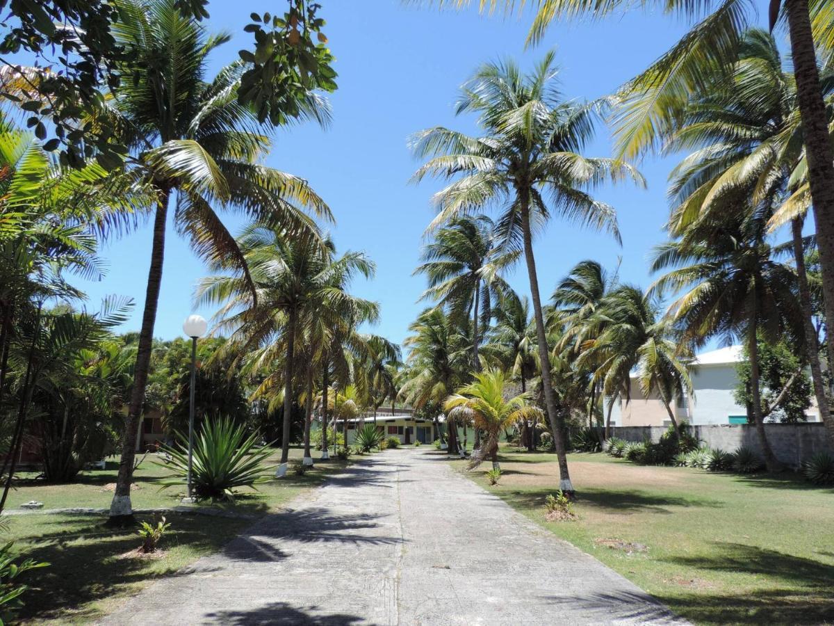 Hébergement de vacances Alizes Sarl - Location Bungalow Cerise 1 Sainte-Anne (Grande-Terre)